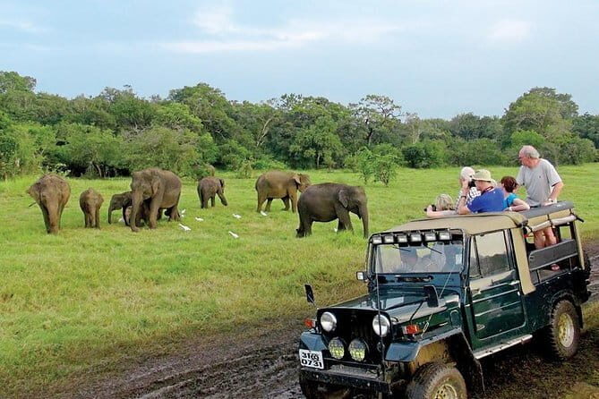 Wasgamuwa National Park Entrance Ticket with Private Safari - Final Thoughts
