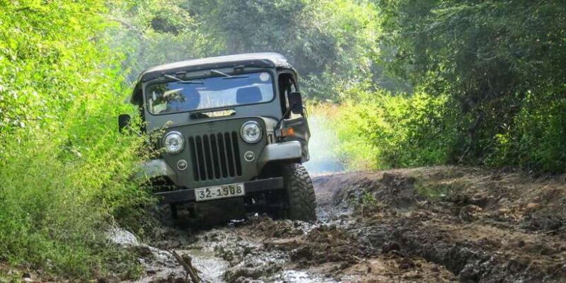wasgamuwa-wasgamuwa-national-park-private-3-hour-safari