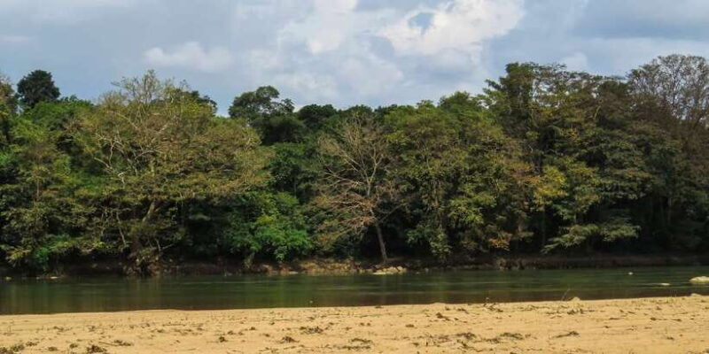 wasgamuwa-wasgamuwa-national-park-private-3-hour-safari