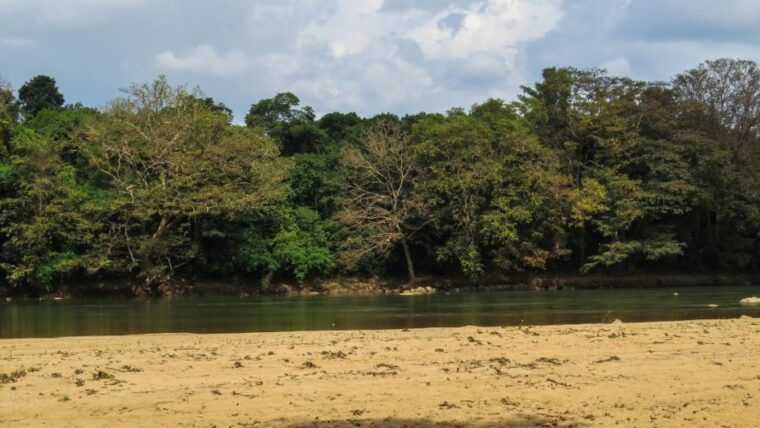 wasgamuwa-wasgamuwa-national-park-private-3-hour-safari