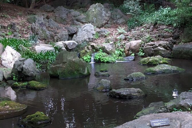wash-bodhisattva-and-explore-japanese-garden-tokyo