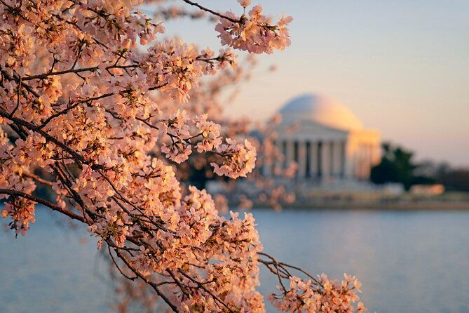 washington-d-c-philadelphia-2-day-tour-from-new-york-city