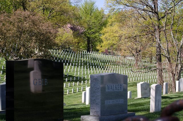 Washington DC: Arlington Nat. Cemetery Ticket & Tram Tour - What to Expect on the Tour