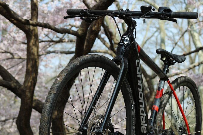 washington-dc-ebike-rentals