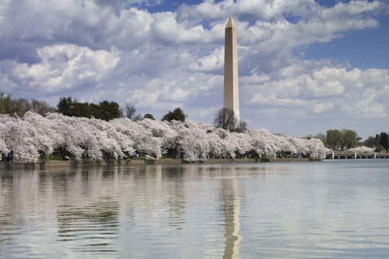 washington-dc-half-day-bus-tour-with-optional-museum-ticket