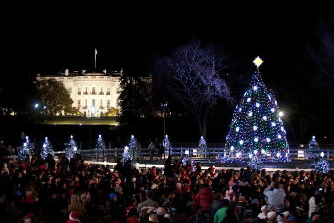 washington-dc-holiday-lights-tour