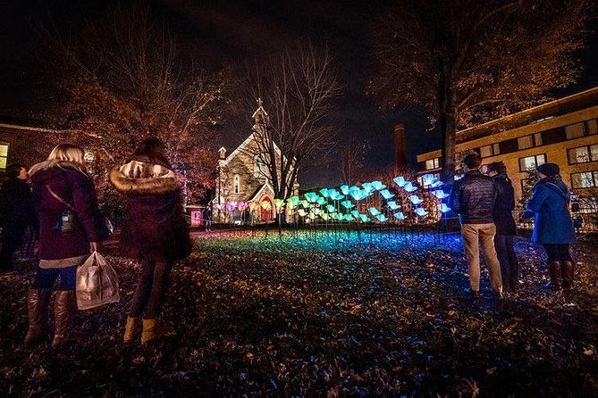 washington-dc-holiday-lights-tour