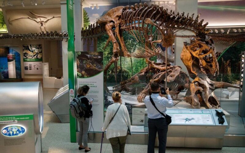 washington-dc-museum-of-natural-history-private-guided-tour