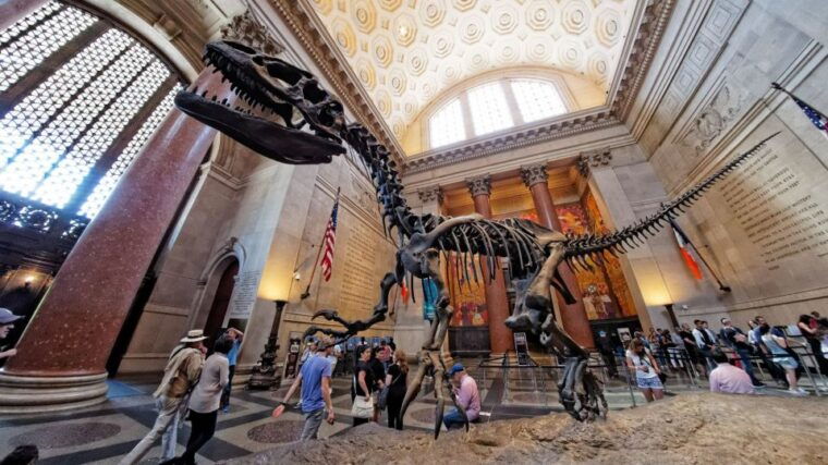 washington-dc-museum-of-natural-history-private-guided-tour