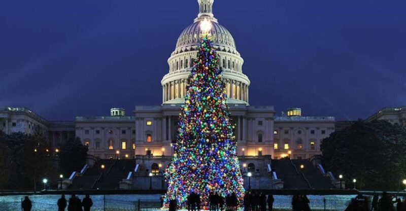 Washington, DC: National Mall and Memorials Moonlight Tour - The Itinerary and What to Expect