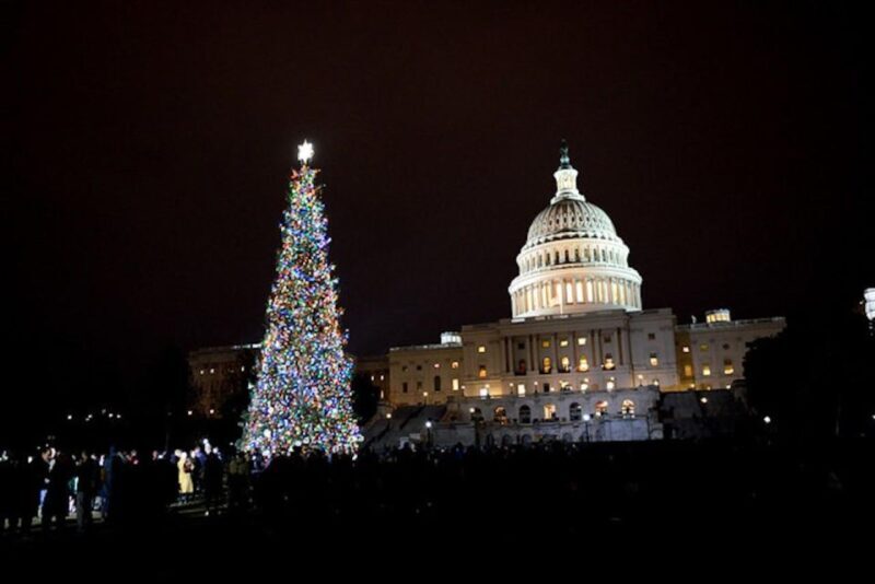 Washington, DC: National Mall and Memorials Moonlight Tour - Who Would Love This Experience?