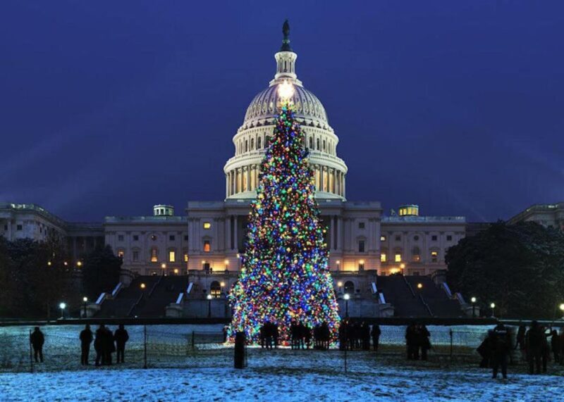 Washington, DC: National Mall and Memorials Moonlight Tour - Frequently Asked Questions