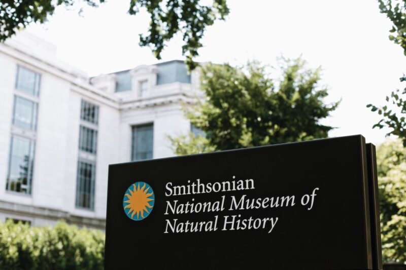 Washington DC: National Museum of Natural History Tour - Who Will Love This Tour?