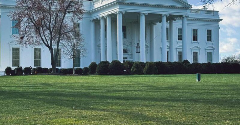 Washington DC: Private Half-Day Sightseeing Tour - The Sum Up: Is This Tour Right for You?