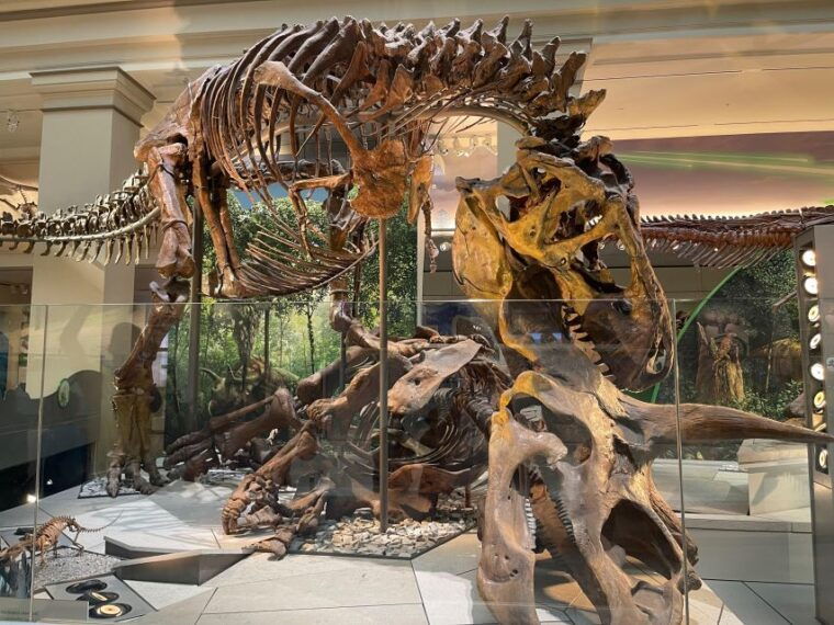 washington-dc-smithsonian-highlights