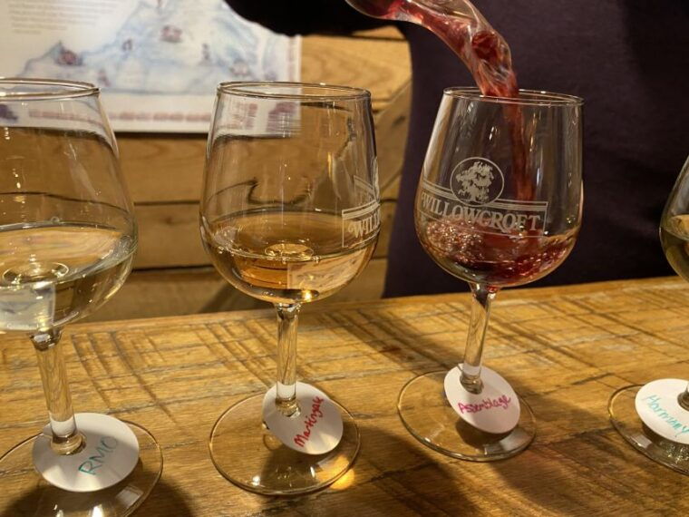 washington-dc-virginia-wine-region-experience-tour