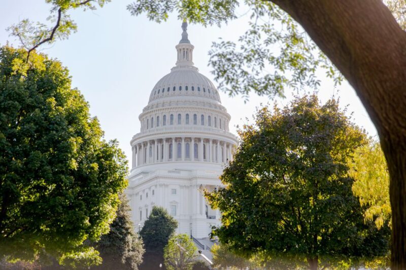 Washington DC: Washington Monument Entry & DC Highlights - Why Choose This Tour?  