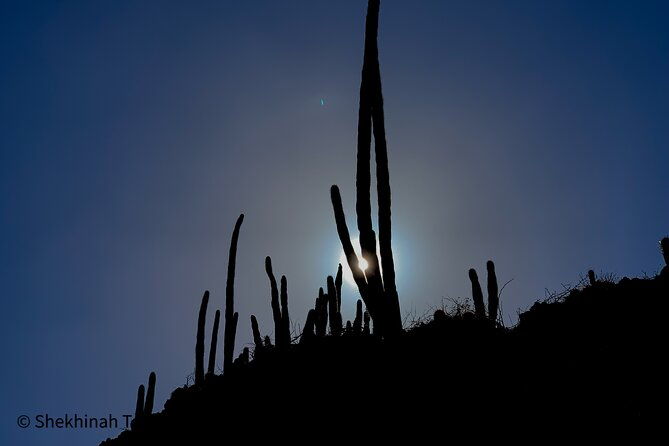washington-park-tour-with-local-guide-on-bonaire