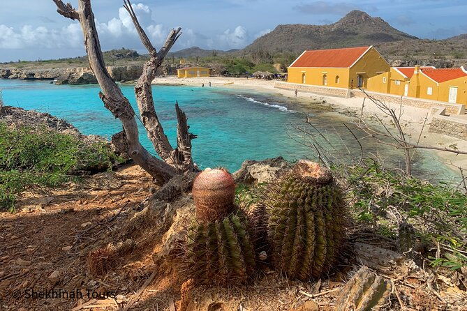 washington-park-tour-with-local-guide-on-bonaire