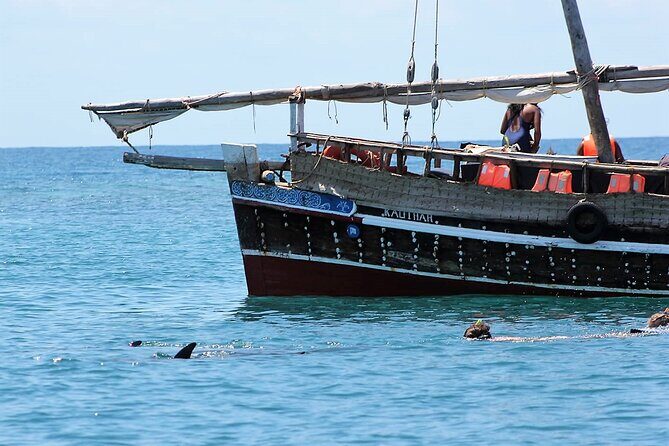 Wasini Dolphin Snorkeling - Who Should Book This Tour?