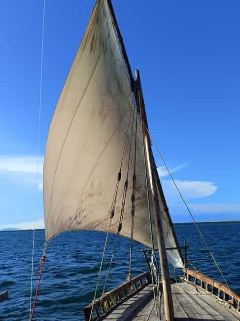 Wasini: Snorkelling & Dolphin Watching on a Dhow & Visit - Key Points