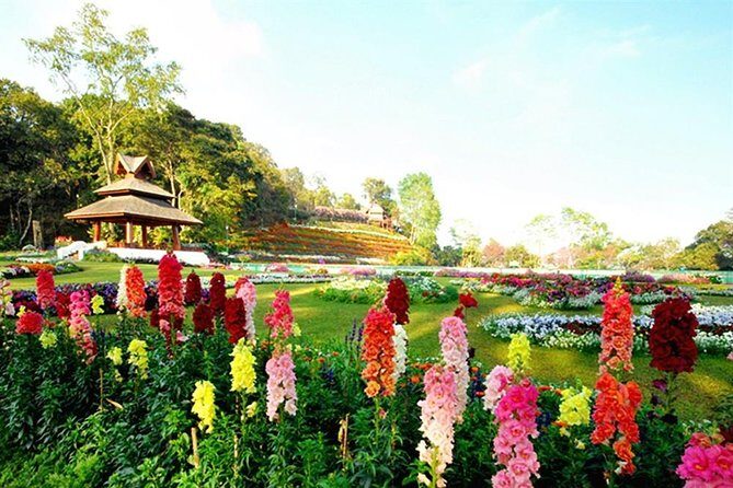 Wat Doi Suthep Temple & Phu Ping Palace: Chiang Mai Highlights - The Itinerary in Detail