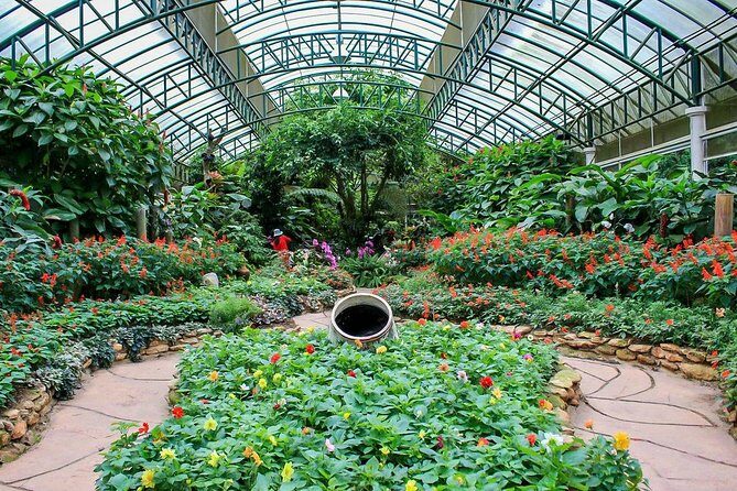 Wat Doi Suthep Temple & Phu Ping Palace: Chiang Mai Highlights - Who This Tour Is Perfect For