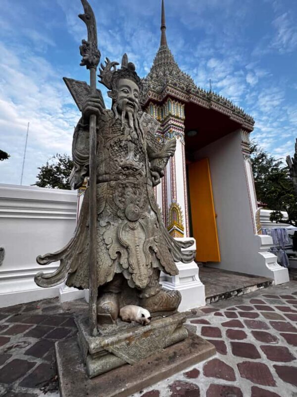 Wat Pho Evening Visit with Temple Cats - Key Points