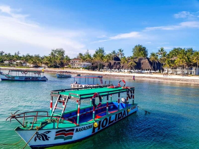 Watamu: Marine Park Snorkeling and Dolphin Spotting Tour - What to Expect from This Tour