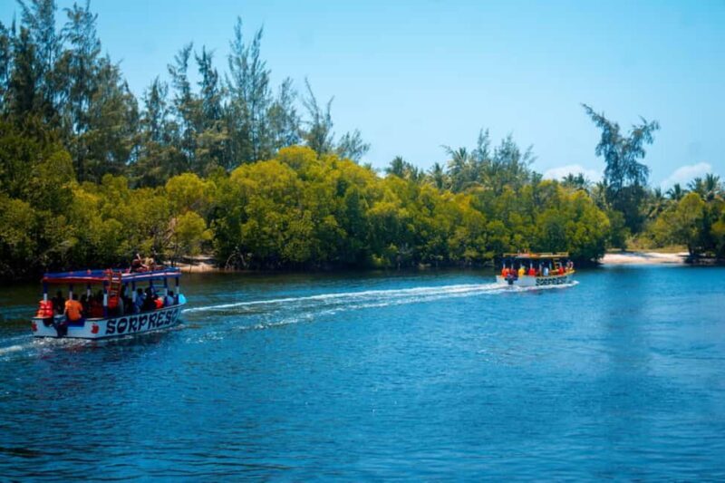 Watamu: Marine Park Snorkeling and Dolphin Spotting Tour - The Sum Up