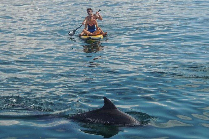 Watamu Marine Park & Sudi Island Mangrove Forest Canoe Ride.With sea food lunch - Journey from Mombasa to Watamu Marine Park