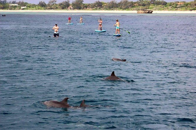 Watamu Marine Park & Sudi Island Mangrove Forest Canoe Ride.With sea food lunch - Canoe Ride Through Sudi Island Mangroves