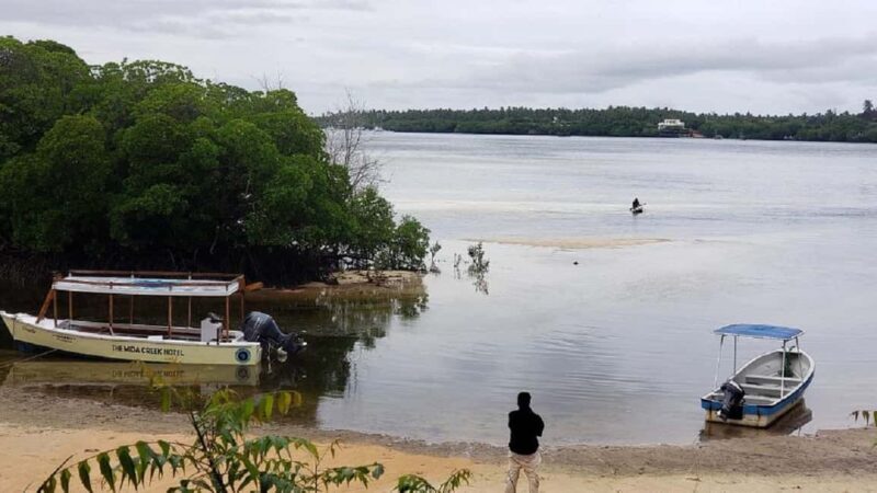 Watamu: Mida Creek Mangrove & Birdwatching Tour w/Boat Ride - Key Points