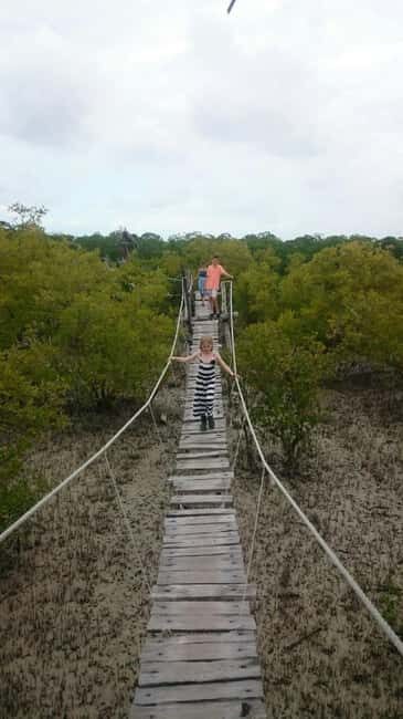 Watamu: Mida Creek Mangrove & Birdwatching Tour w/Boat Ride - The Boat Ride & Birdwatching