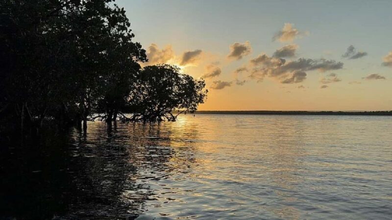 Watamu: Mida Creek Mangrove & Birdwatching Tour w/Boat Ride - Practical Aspects and Tips
