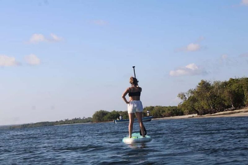 Watamu: Mida Creek Mangrove & Birdwatching Tour w/Boat Ride - Who Will Love This Tour?