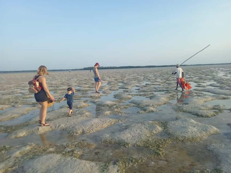 Watamu: Sunset Mangrove Canoe Tour with Coconut Drink - Key Points