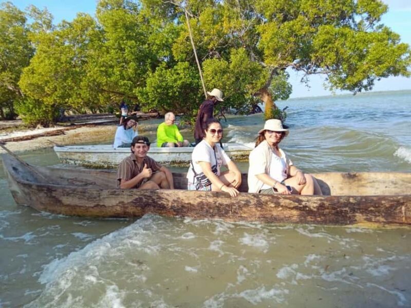 Watamu: Sunset Mangrove Canoe Tour with Coconut Drink - Practical Details and Value