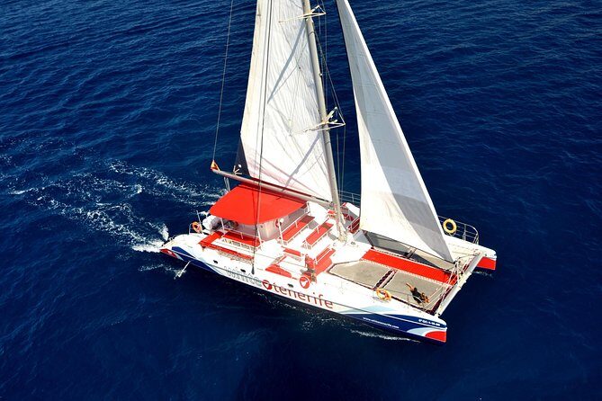 Watching and Listening Whales visiting Los Gigantes&Masca. Food&drinks included - Key Points