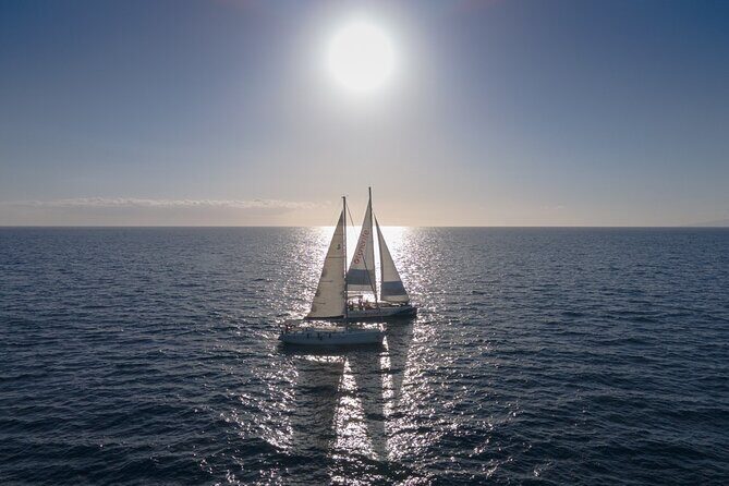 Watching and Listening Whales visiting Los Gigantes&Masca. Food&drinks included - Final Thoughts