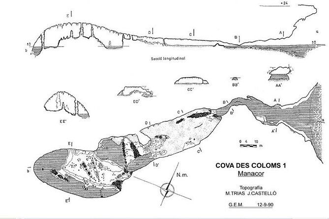 water-cave-in-cova-des-coloms