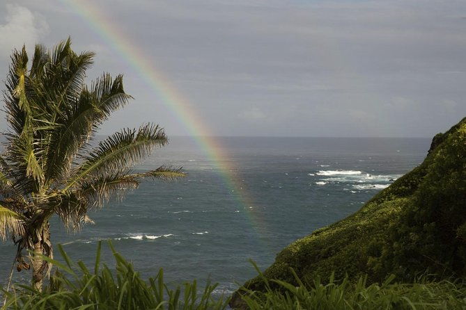 waterfall-and-rainforest-adventure