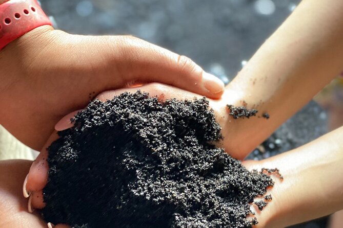 waterfall-and-rainforest-adventure