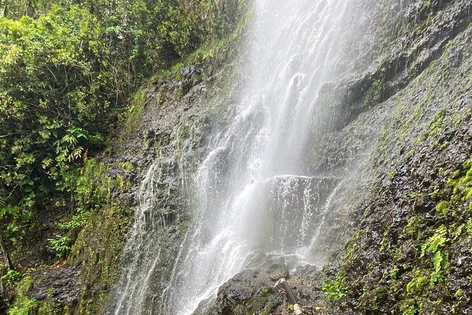 waterfall-and-rainforest-adventure