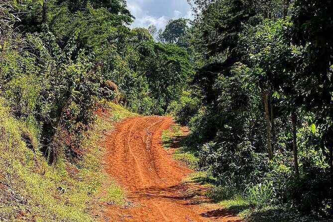 Waterfall, coffee tour & hot springs - lunch and drinks included - Why It’s Worth Considering