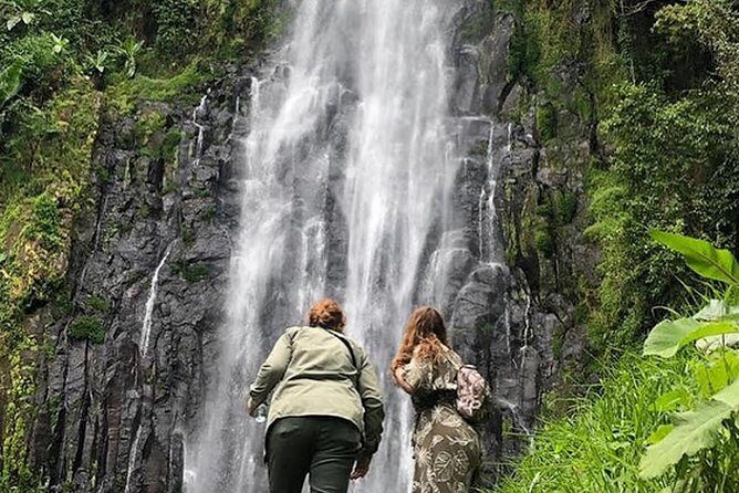 Waterfall & Coffee Walking Tour - Authentic Experiences and Tips from Reviewers
