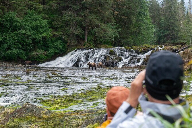 waterfall-creek-brown-bear-viewing-juneau