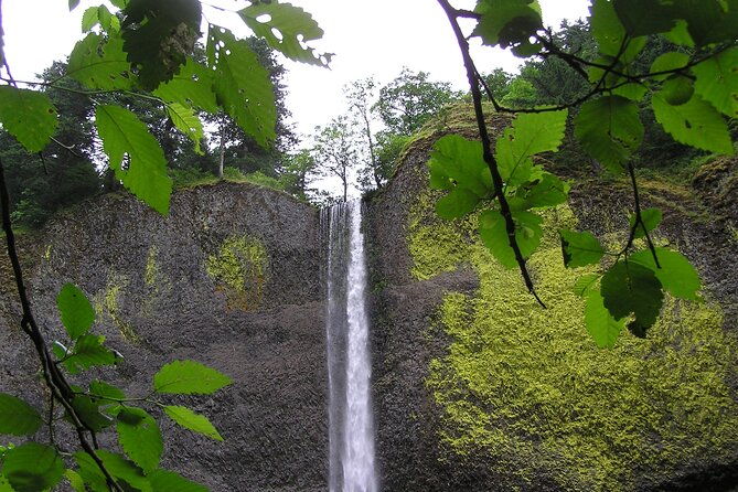waterfall-express-tour-transportation-to-waterfall-trolley-pdx07