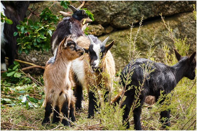 waterfall-lagoon-and-old-village-in-peneda-geres-national-park