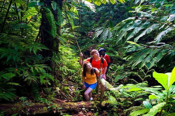 waterfall-rainforest-chocolate-tour-historical-sites-private